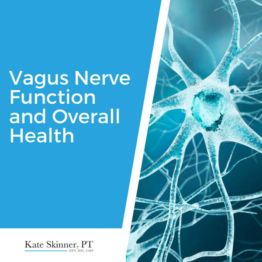 Impact of the vagus nerve function in overall health